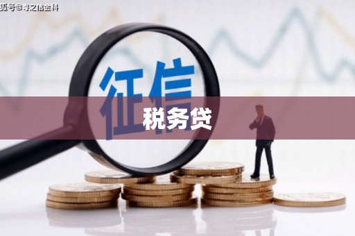 孝南税务贷