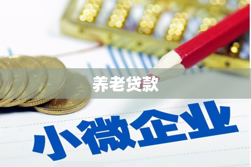 孝南养老贷款