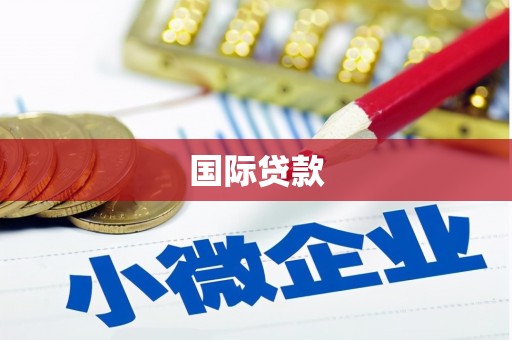 孝南国际贷款