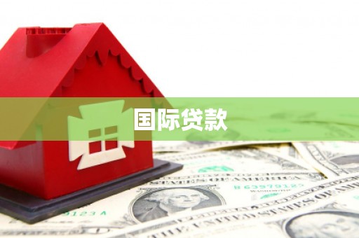 孝南国际贷款