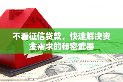 孝南不看征信贷款，快速解决资金需求的秘密武器