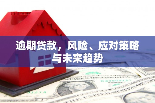 孝南逾期贷款，风险、应对策略与未来趋势
