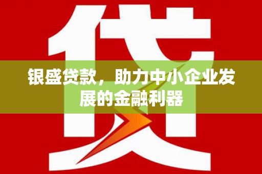 孝南银盛贷款，助力中小企业发展的金融利器