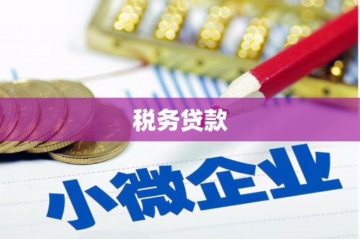 孝南税务贷款