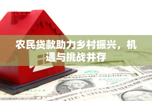 孝南农民贷款助力乡村振兴，机遇与挑战并存