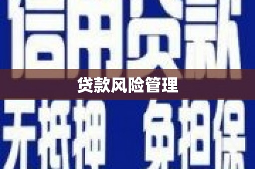孝南贷款风险管理