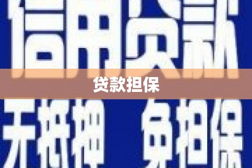 孝南贷款担保