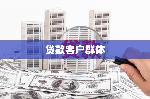 孝南贷款客户群体