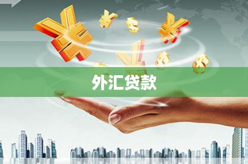 孝南外汇贷款