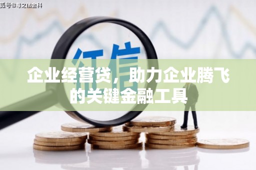 孝南企业经营贷，助力企业腾飞的关键金融工具