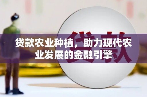 孝南贷款农业种植，助力现代农业发展的金融引擎