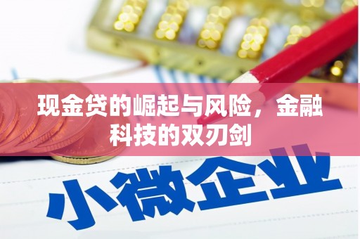 孝南现金贷的崛起与风险，金融科技的双刃剑
