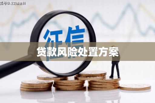 孝南贷款风险处置方案