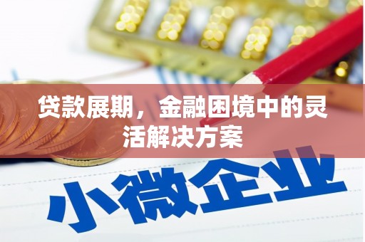 孝南贷款展期，金融困境中的灵活解决方案