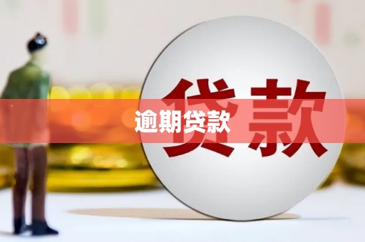 孝南逾期贷款