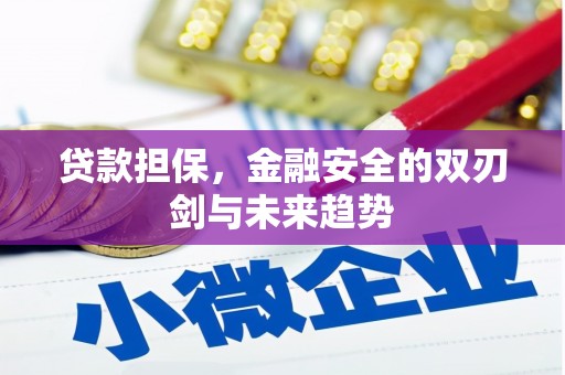 孝南贷款担保，金融安全的双刃剑与未来趋势