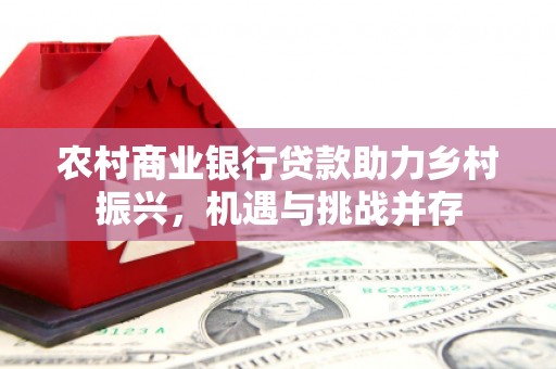 孝南农村商业银行贷款助力乡村振兴，机遇与挑战并存