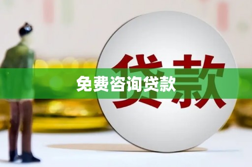 孝南免费咨询贷款