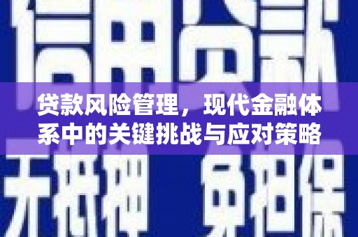 孝南贷款风险管理，现代金融体系中的关键挑战与应对策略