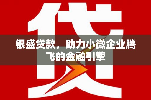 孝南银盛贷款，助力小微企业腾飞的金融引擎