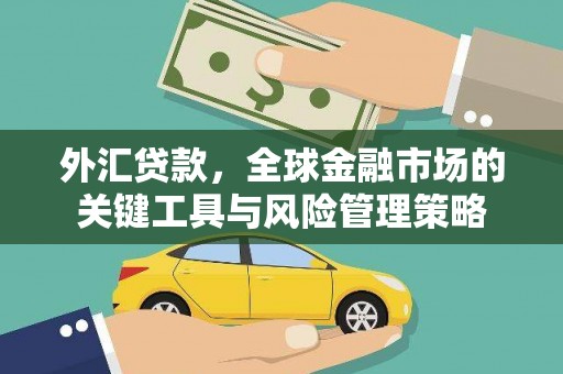孝南外汇贷款，全球金融市场的关键工具与风险管理策略