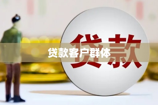 孝南贷款客户群体