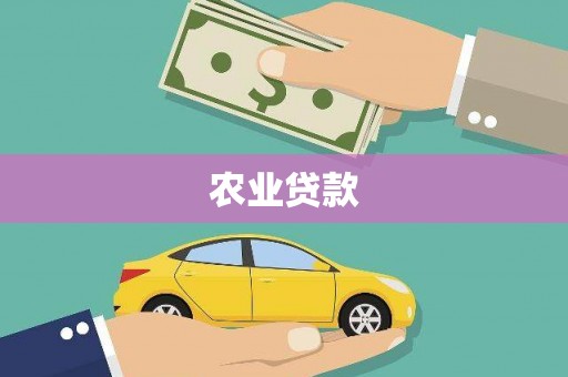 孝南农业贷款