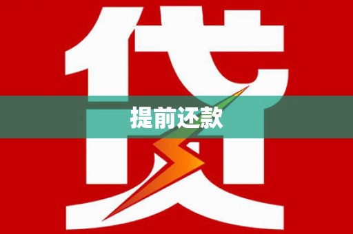孝南提前还款