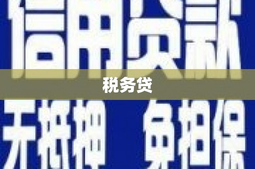 孝南税务贷