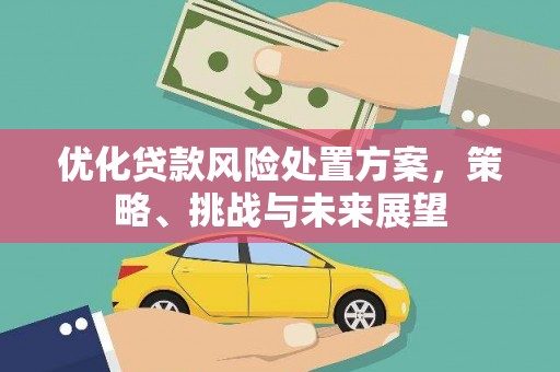 孝南优化贷款风险处置方案，策略、挑战与未来展望