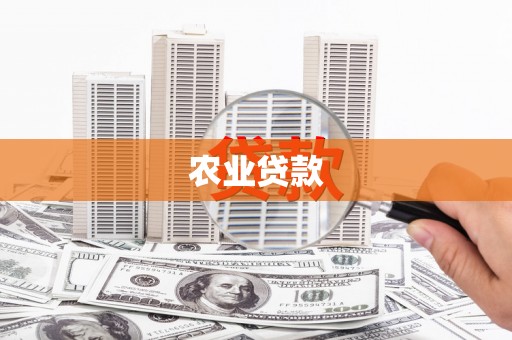 孝南农业贷款