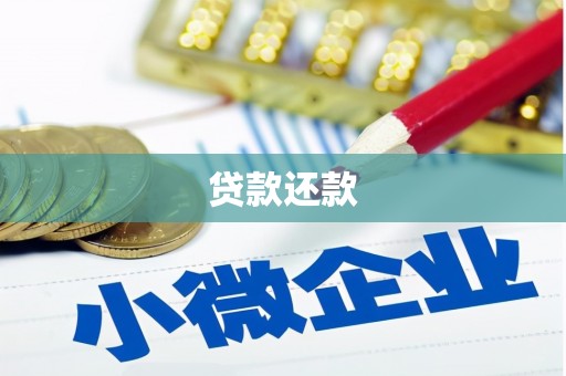 孝南贷款还款