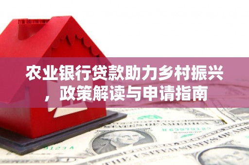 孝南农业银行贷款助力乡村振兴，政策解读与申请指南