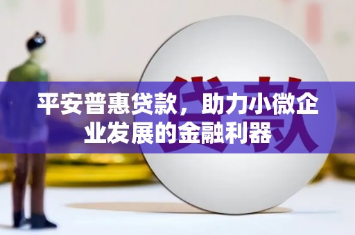 孝南平安普惠贷款，助力小微企业发展的金融利器