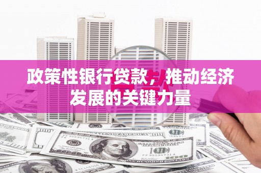 孝南政策性银行贷款，推动经济发展的关键力量