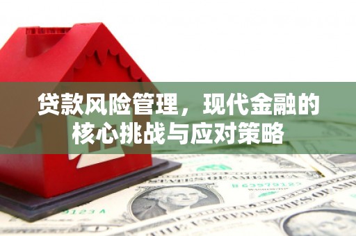 孝南贷款风险管理，现代金融的核心挑战与应对策略