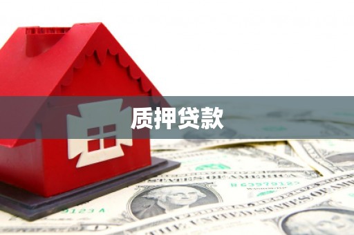 孝南质押贷款