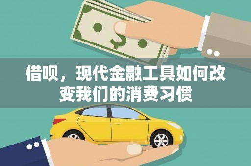 孝南借呗，现代金融工具如何改变我们的消费习惯