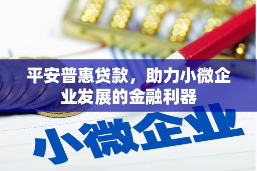 孝南平安普惠贷款，助力小微企业发展的金融利器
