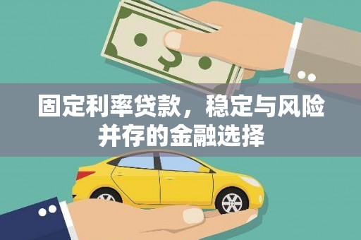 孝南固定利率贷款，稳定与风险并存的金融选择