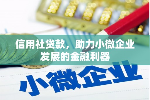 孝南信用社贷款，助力小微企业发展的金融利器