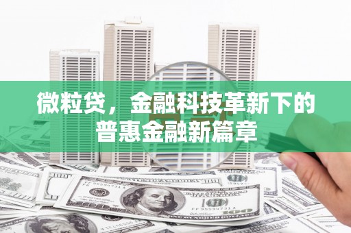 孝南微粒贷，金融科技革新下的普惠金融新篇章