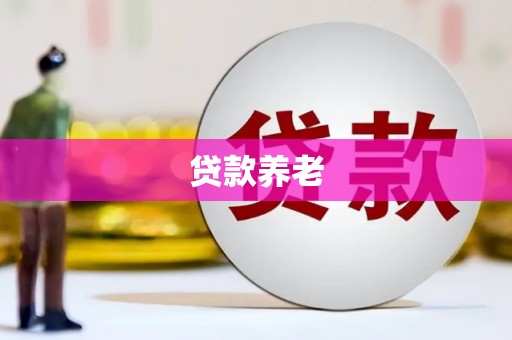 孝南贷款养老