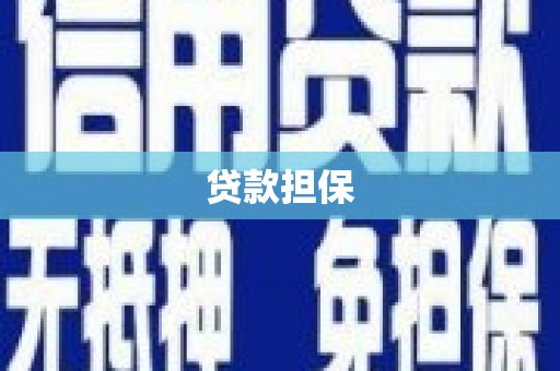孝南贷款担保
