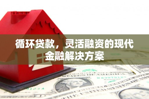 孝南循环贷款，灵活融资的现代金融解决方案
