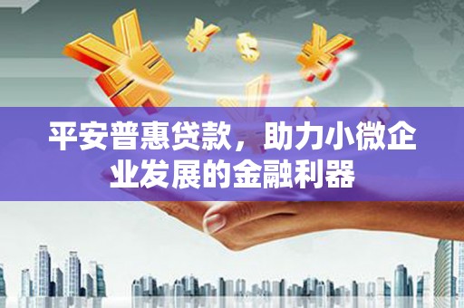 孝南平安普惠贷款，助力小微企业发展的金融利器