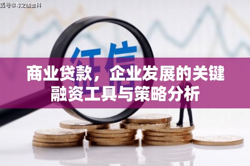 孝南商业贷款，企业发展的关键融资工具与策略分析