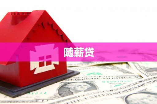 孝南随薪贷