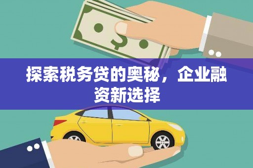 孝南探索税务贷的奥秘，企业融资新选择