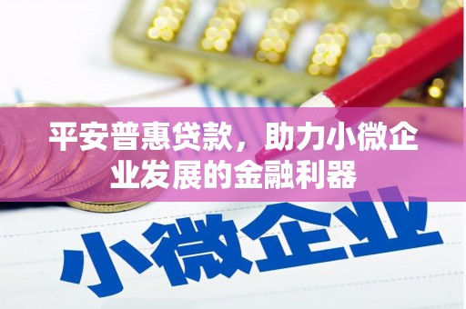 孝南平安普惠贷款，助力小微企业发展的金融利器